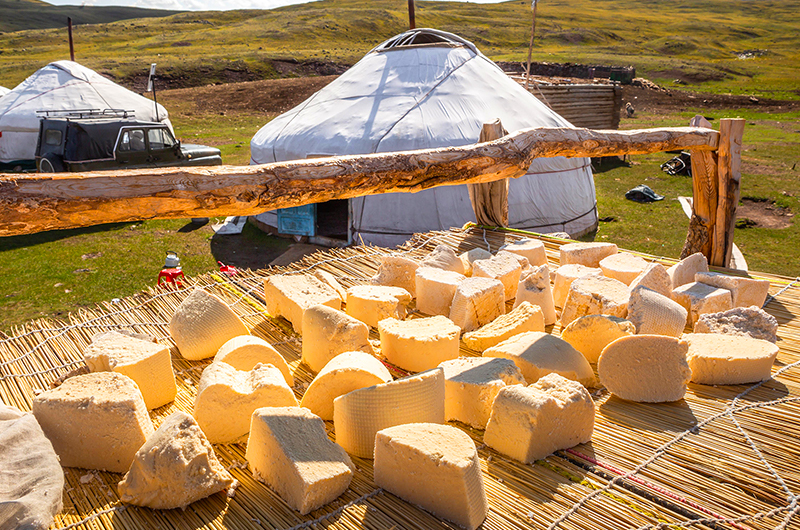 Mongolian dairy food (aaruul) in Western Mongolia